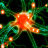 Neural network node showing connective reinforcement